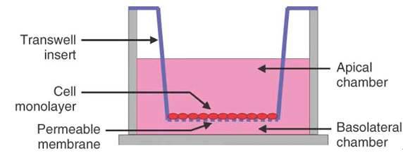 迁移1.png 迁移1.png