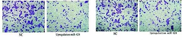 迁移3.png 迁移3.png